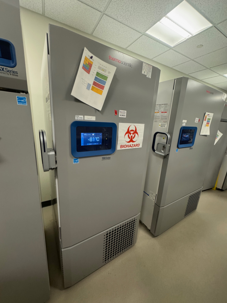 Image of Thermo TSX -80C Ultra Low Temp Freezer